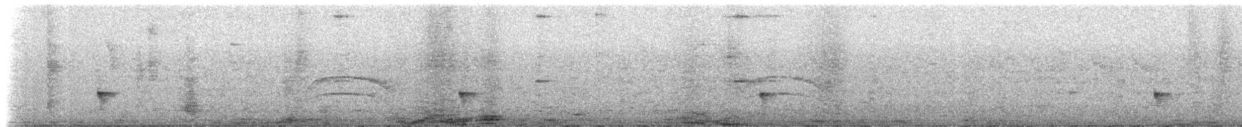 Élénie à bec court - ML652302296