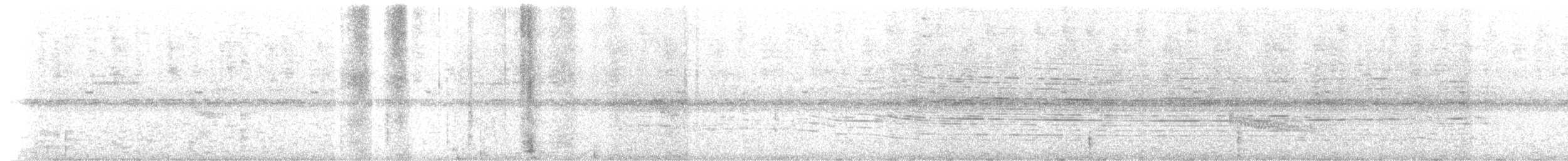 Batara moucheté - ML652302523