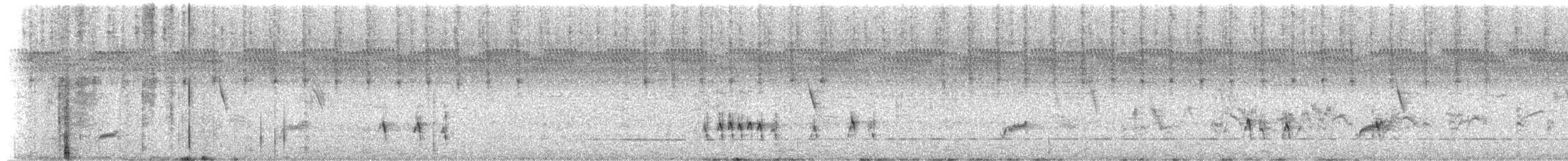 Tyranneau à queue aiguë - ML652302659