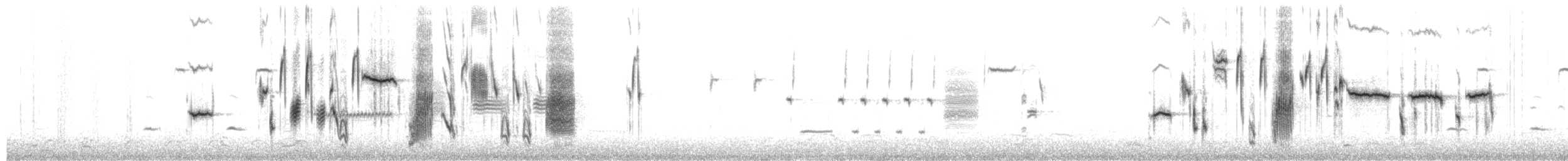 Song Sparrow (melodia/atlantica) - ML652302888