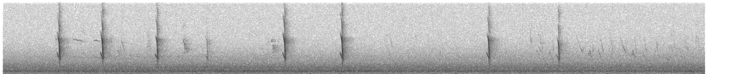 White-cheeked Honeyeater - ML652303414