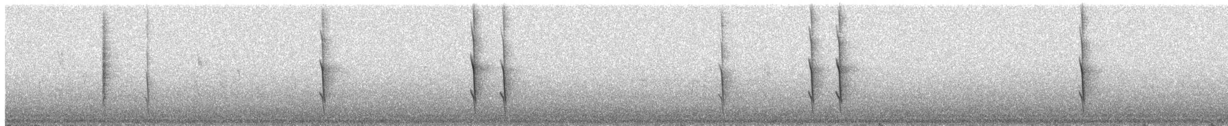 White-cheeked Honeyeater - ML652303507