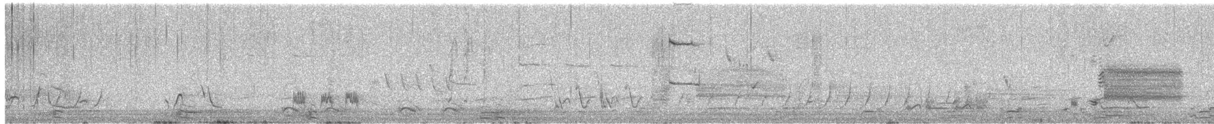 チャイロツグミモドキ - ML652303776