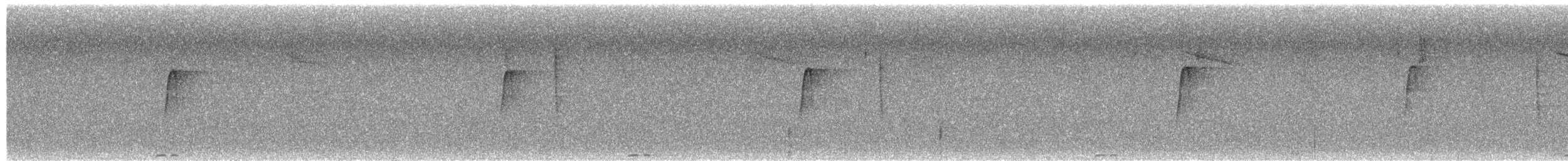 חטפית ירקרקה - ML652304796