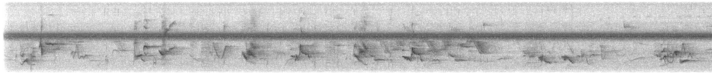 ネコマネドリ - ML652305745