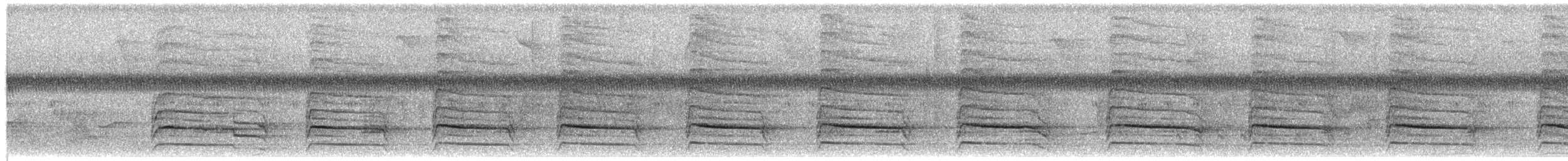 Red-shouldered Hawk - ML652305863