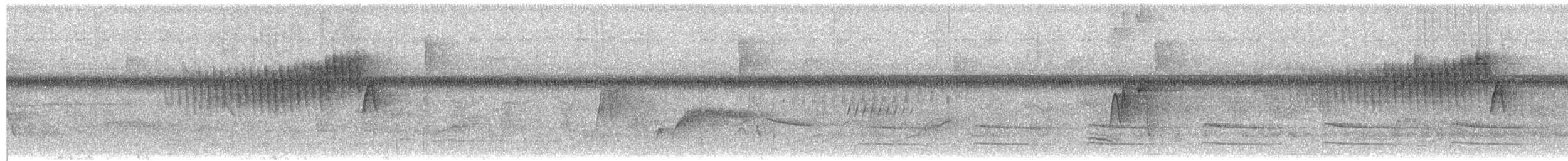 Northern Parula - ML652305872