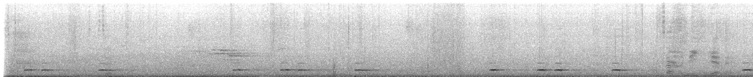 Collared Owlet - ML652311201