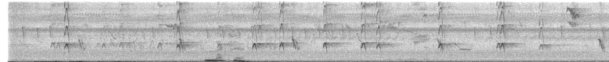 Avefría Coroniblanca - ML652311626