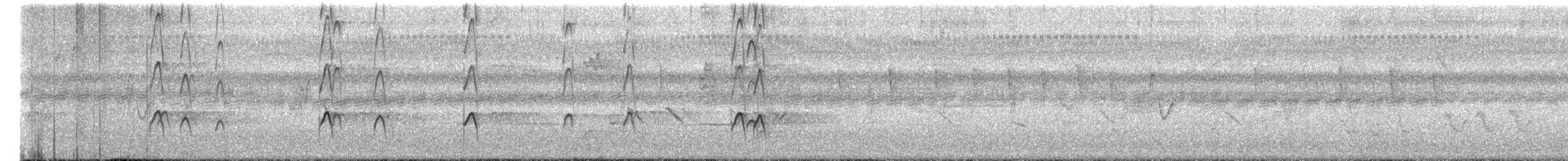 Avefría Coroniblanca - ML652311627