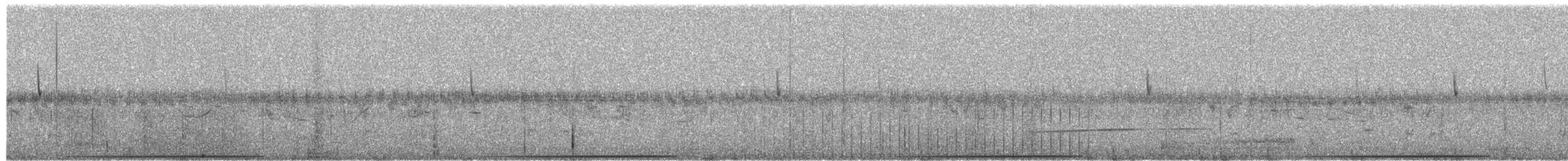 perepel malý - ML652311722