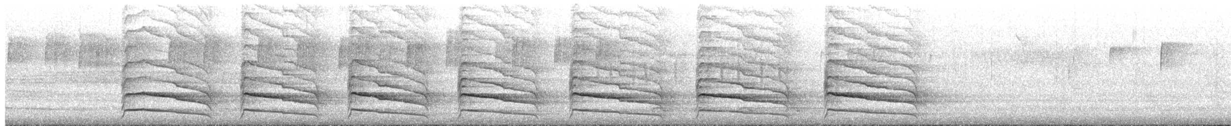 Red-shouldered Hawk - ML652311979