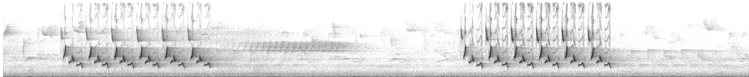 Carolina Wren - ML652312696