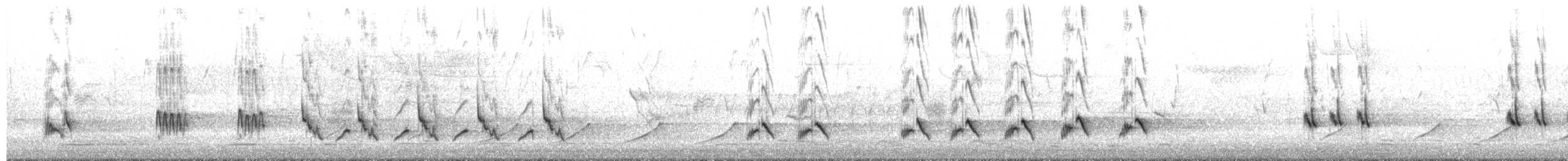 Northern Mockingbird - ML652313410