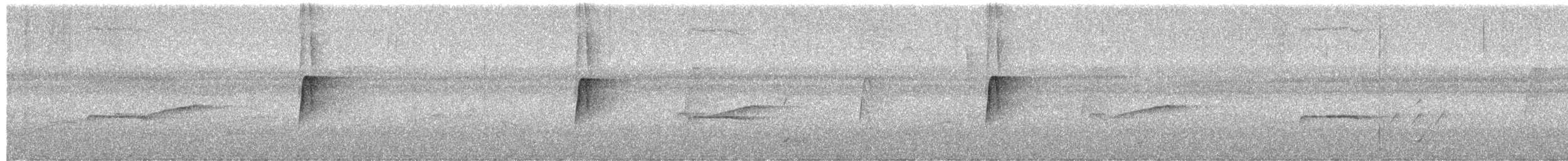 חטפית ירקרקה - ML652318365