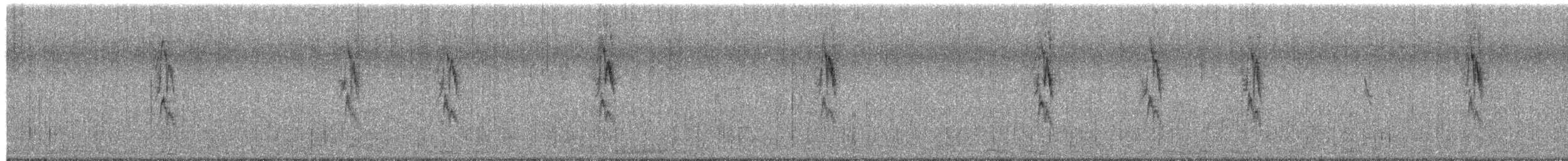 House Sparrow - ML652319470