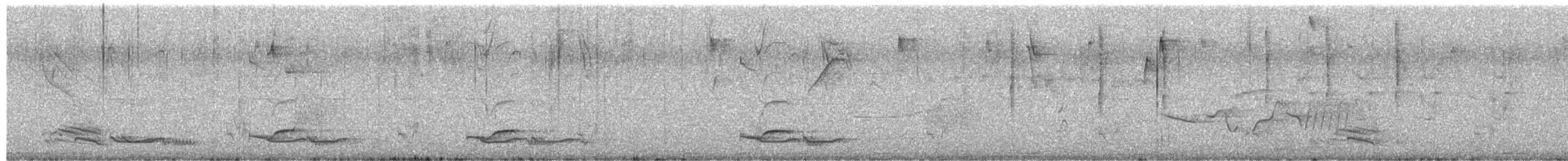 Saltarín Lanceolado - ML652320830