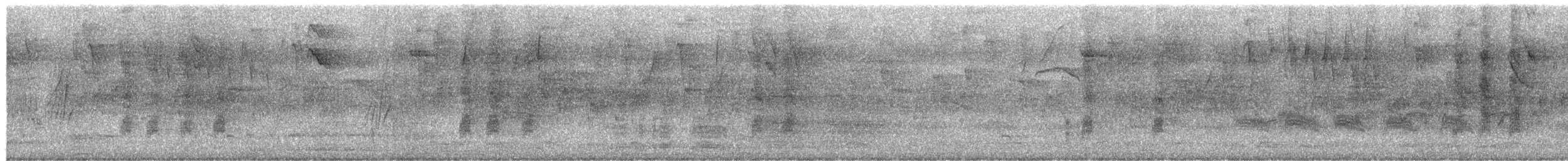 Zorzal Sabiá - ML652321089