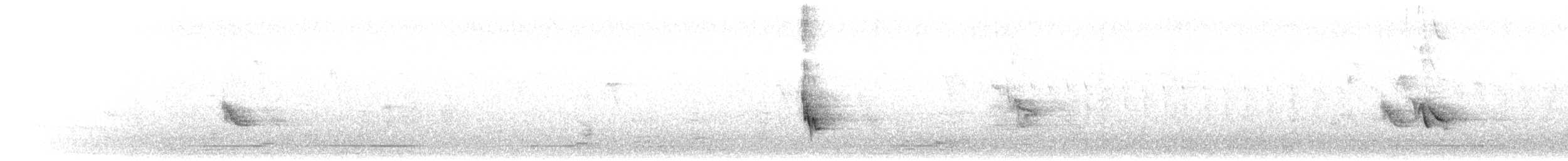 דרור אפור-ראש - ML652324267