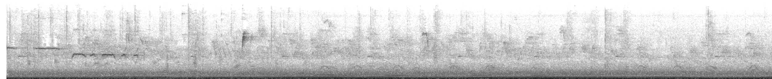 גיבתונית לבנת-גרון - ML652324272