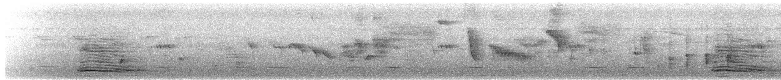 Hadada Ibis - ML652324306