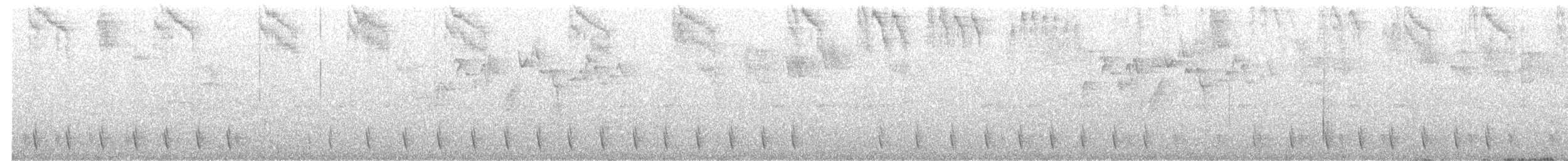 Blackish Tapaculo (Blackish) - ML652324386