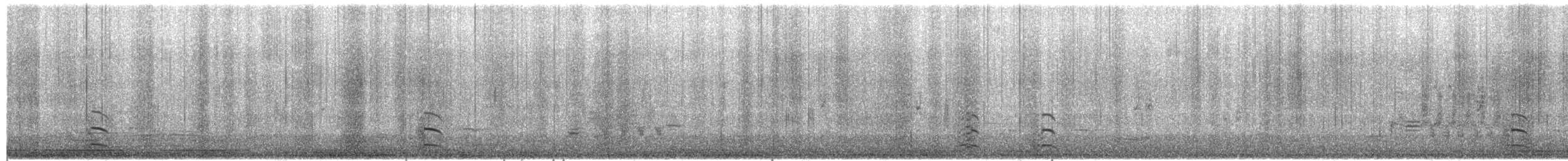 שחף מערבי - ML652324412