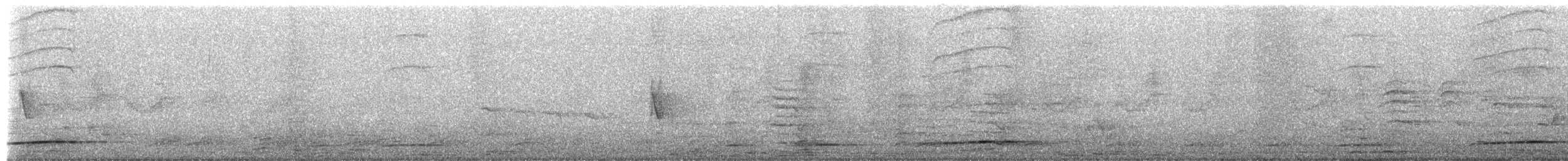 Black Cuckoo - ML652324553