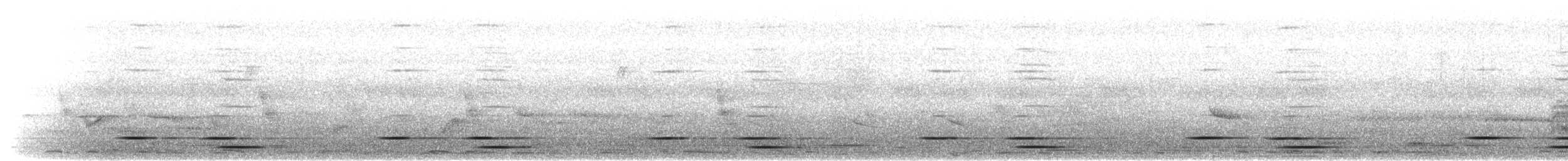 Tropical Boubou - ML652324640