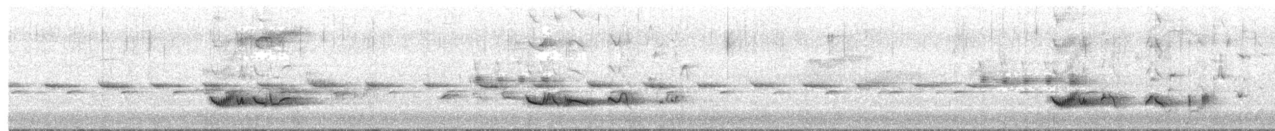 קיכלי גדול - ML652324662