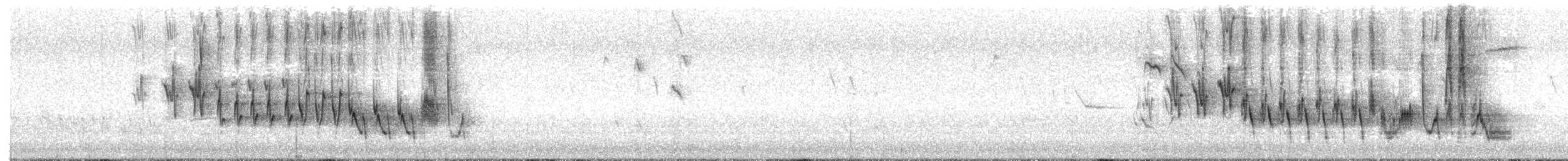 פרוש מצוי - ML652324672