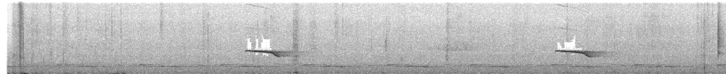 Uzun Gagalı Napoter - ML652326378