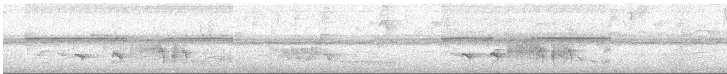 Klages's Antbird - ML652332432