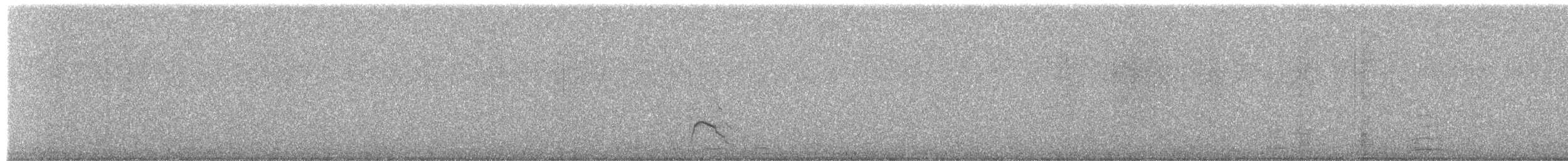 赤頸鴨 - ML652332577