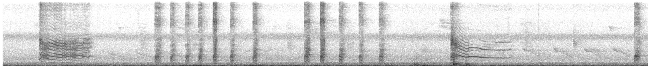 Florida Gray Squirrel - ML652332590