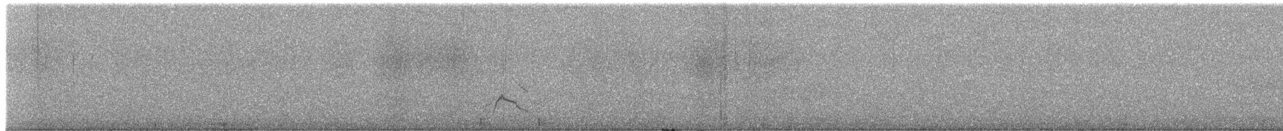 赤頸鴨 - ML652332629