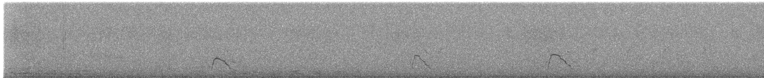 赤頸鴨 - ML652332664