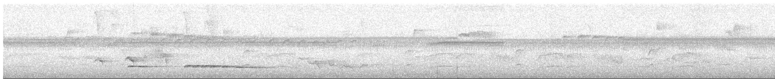 Black-faced Antthrush - ML652332930