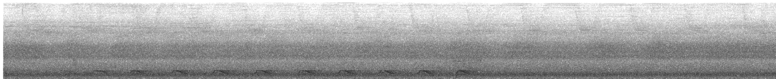 Blue-tailed Trogon - ML652333083