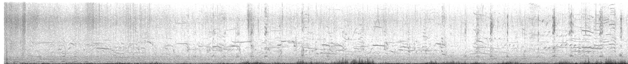 Harlequin Duck - ML652333094