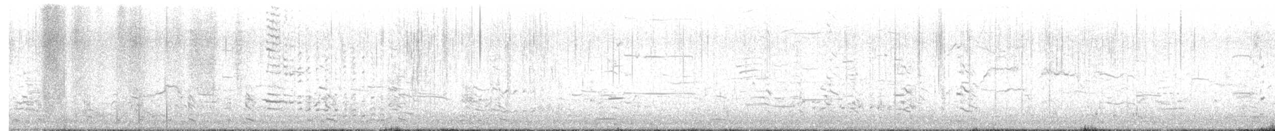 Harlequin Duck - ML652333095