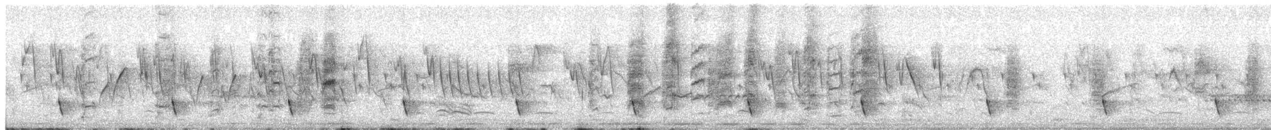 Black-capped Social-Weaver - ML652333139