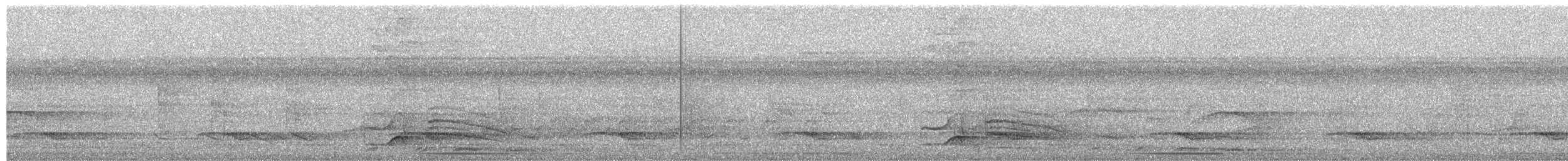 Waved Woodpecker - ML652335497