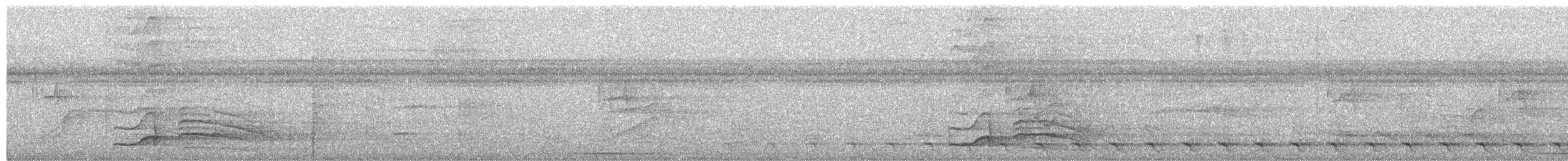 Waved Woodpecker - ML652335499