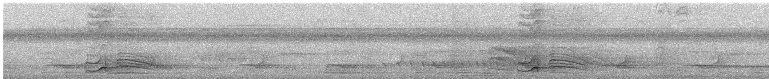 Waved Woodpecker - ML652335500