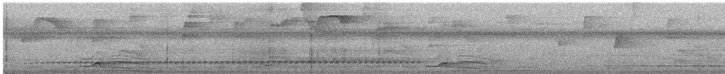 Waved Woodpecker - ML652335501