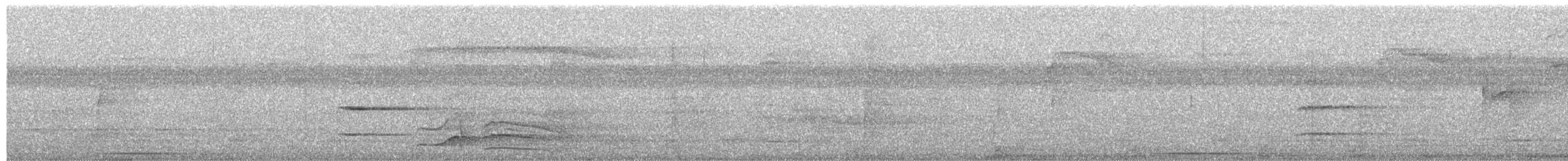 Waved Woodpecker - ML652335503