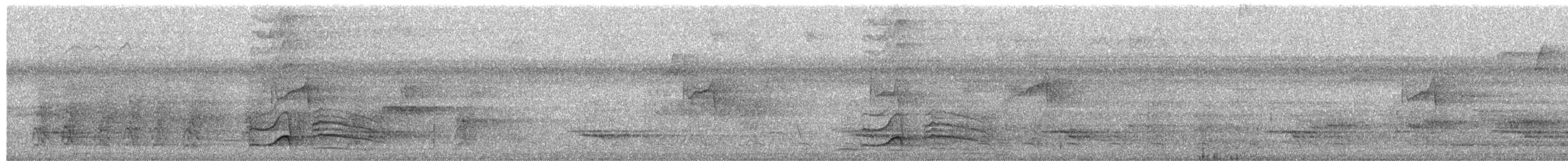 Waved Woodpecker - ML652335504