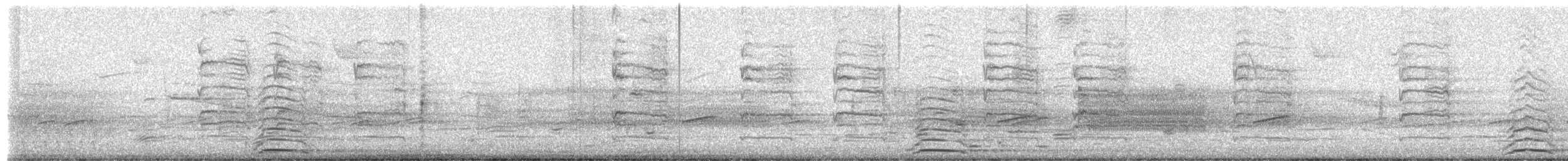 Лебідь чорнодзьобий (підвид columbianus) - ML652336244