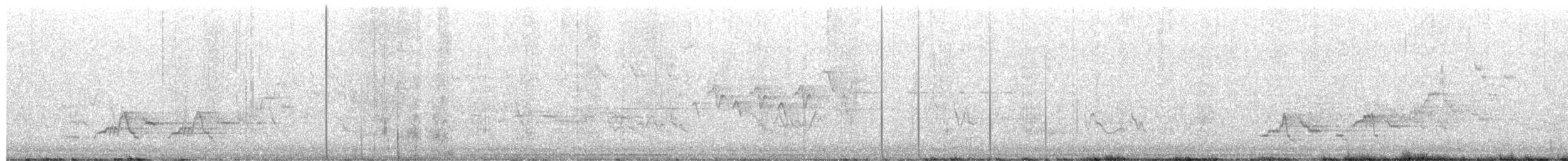Дрізд-короткодзьоб Cвенсона - ML652336468